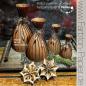 Preview: Stanze Nr. 3L "Marinas Licht" 18,5 cm