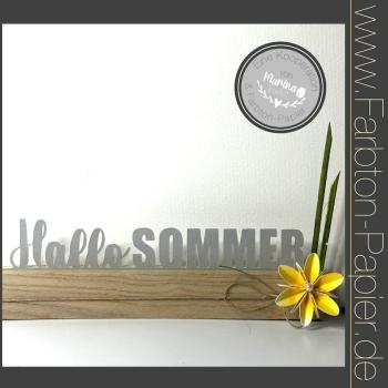 Stanze "Hallo Sommer" (76)