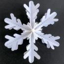 Stanze für Schneeflocke (12 M)